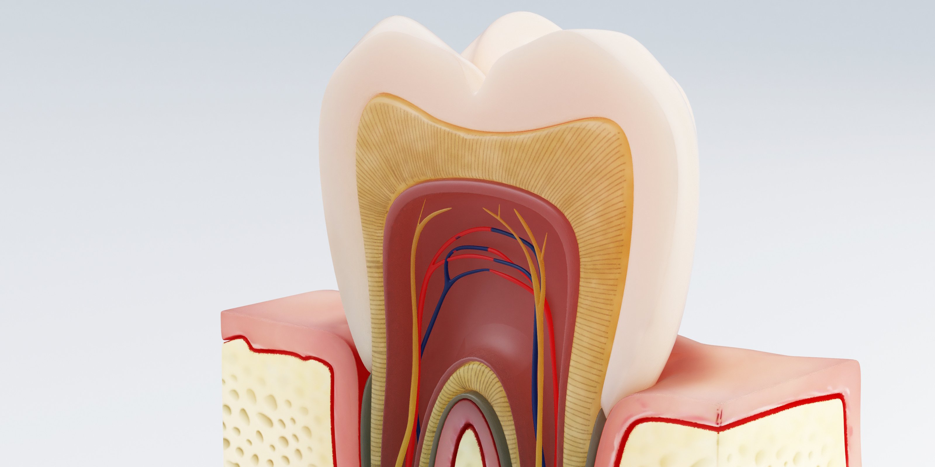 How Is Root Canal Treatment Done for Infected Teeth?